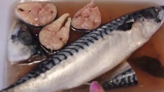 Скумбрия малосольная .Солим очень вкусненькую скумбрию .