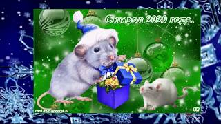 Символ 2020 года Крыса  The symbol of 2020 is a rat