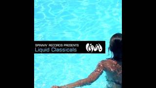 Ron van den Beuken - Timeless (Original Mix)