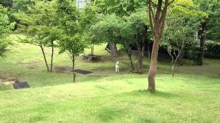 MOV 0078