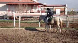 ΕΚΠΑΙΔΕΥΣΗ ΑΛΟΓΩΝ ΚΑΙ ΑΝΘΡΩΠΩΝ - HORSE AND HUMAN TRAINING