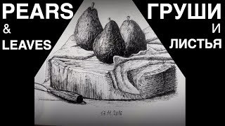 Галерея скетчей 5: Груши ?  и листья ?