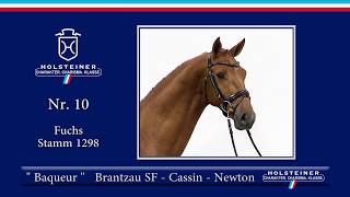 Holsteiner Körlot 2018 | Nr. 10 - BAQUEUR v. Brantzau - Cassin