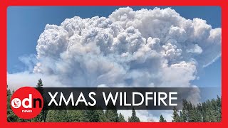 Largest Fire in State History Tears Through California Woodland on Christmas Eve