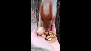 Когда взял не то, что хотел / When I took the wrong thing I wanted