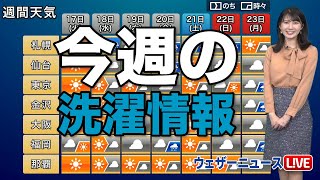 今週の洗濯情報