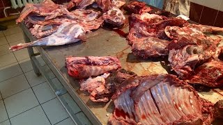 Браконьер предстанет перед судом