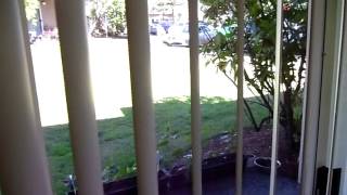 Наши новые апартаменты в городке Lynnwood пригород Seattle WA