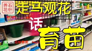 育苗的一点经验分享 - 育苗盒、灯、土和育苗的时间