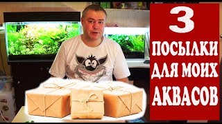 Три посылки из Китая для моих аквасов. Анбокс и обзор