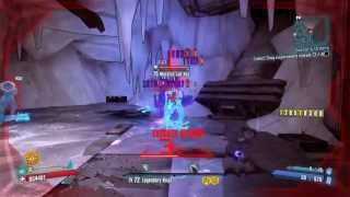 Borderlands 2 Legendary Ninja fun