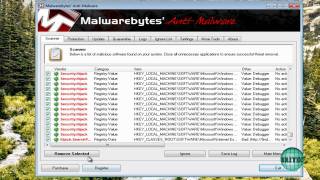How to Remove Home Security Solutions by Britec