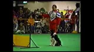 Первый Чемпионат Мира по Обидиенс. Стокгольм 1995. World Winner in Obedience Stockholm 1995.