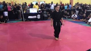2017 international Karate tournament US Open