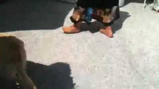 ibiza イビサ ヒッピーマーケット①