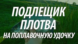 РЫБАЛКА НА ПОПЛАВОЧНУЮ УДОЧКУ НА РЕКЕ. КАК ПОЙМАТЬ РЫБУ ПЛОТВУ, ПОДЛЕЩИКА