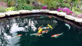 How to Build a Bubble-less Koi Pond Time Lapse (in slide-show format)
