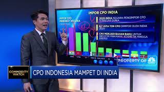 CPO Indonesia Mampet Di India