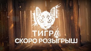 Удовлетворяем Сущность! ? !розыгрыш 13.03 ?  Стрим Dead By Daylight