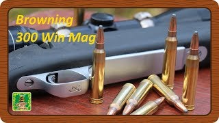 100 метров. Новая попытка. Browning A-BOLT 300 Win Mag