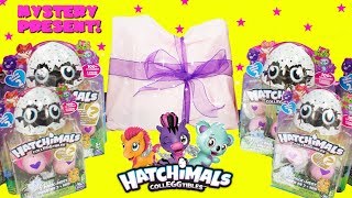 Hatchimals Colleggtibles The Hunt For The Gold Hatchimal Mystery Present