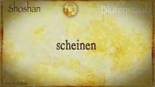 Shoshan "Blütenstaub" - deutsche Mantras mit sanften und melodischen Klängen