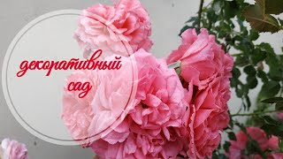 Садовая серия. Как организовать декоративный сад самострятельно. Начало?
