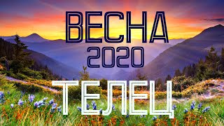 ТЕЛЕЦ. ВЕСНА 2020. ПЕРСПЕКТИВЫ. СЮРПРИЗЫ. РАСЦВЕТ. ТАРО-ПРОГНОЗ.