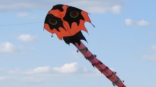 Воздушный змей Escolopendra Grande большая сороконожка, 10 метров