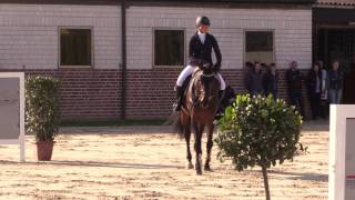 Hengstschau Ligges 2017: Dembelé (Diamant De Semilly x Cornet Obolensky)