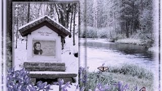 Ручей и Шуберт. Зима. Kellau (Звуки природы Австрии)