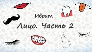 Части лица на иврите (часть 2). Запоминаем части лица на иврите
