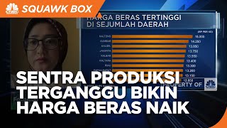 HKTI: Ada Gangguan di Sentra Produksi, Harga Beras Naik