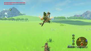 Being very mature in BotW