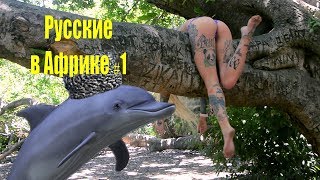Африканская девственность. Стас Давыдов, Адвокат Егоров и Бантик Бой