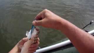 Вибы TACKLE HOUSE Rolling Bait 77 и TSUNEKICHI Darting Bait Drop Shot