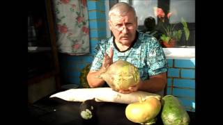 Брюква КРАСНОСЕЛЬСКАЯ