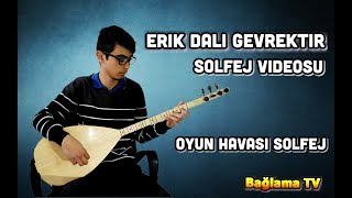 Kısa Sap Bağlama Erik Dalı Solfej / Erik Dalı Gevrektir Oyun Havası Solfej - Erik Dalı Solfej