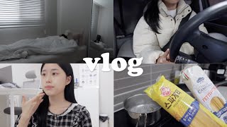 [VLOG] 무기력증 극복을 위한 일상 브이로그 9시 기상 프로젝트⏰ 새로 바뀐 룸투어 | 쿠팡 추천템 | 나이트 스킨케어 | 집순이의 일상 with 강아지 | 일본여행 준비