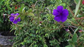 Spectacular Property in Malacatos - Ecuador Real Estate