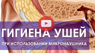 Гигиена ушей при использовании микронаушника