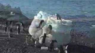 Antarctica in 5 minutes