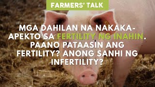 Farmers' Talk: Paano Pataasin, Ano Ang Sanhi at Mga Dahilan na Nakaka-apekto sa Fertility ng Inahin?
