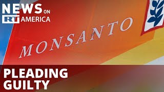 Monsanto fined $12 million for flouting environmental laws