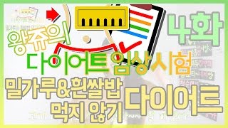 왕쥬의 다이어트 임상시험 4화 - 밀가루 & 흰쌀밥 먹지 않기 (Don't eat wheat flour & white cooked rice) Diet