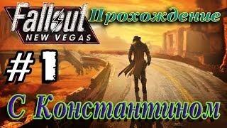 НАРЫВАЕМСЯ НА НЕПРИЯТНОСТИ (FalloutNV #1)