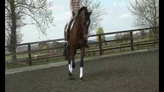 Horse and Hound Young Rider Bursary -submitted late so not included =(