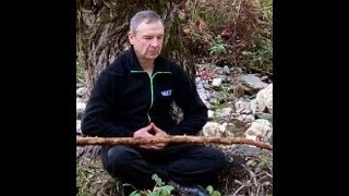 Императорский цигун. Управление внутренними стихиями организма.