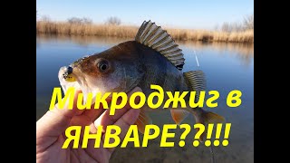 Окунь на микроджиг в январе 2020