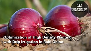 Optimization of High Density Planting with Drip Irrigation in Rabi Onion